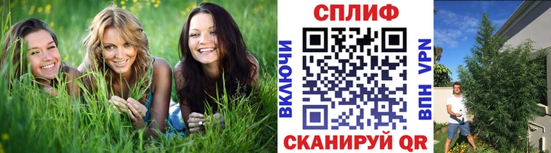 сколько стоит  Калининск  МАРИХУАНА AK-47 